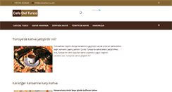 Desktop Screenshot of cafedelturco.com